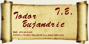Todor Bujandrić vizit kartica